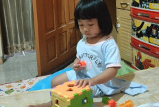 Tips Memilih Mainan Anak yang Bebas dari Zat Kimia Beracun BPA dan PVC, Yuk Lebih Selektif Bund! 