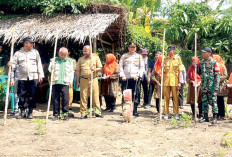 Pupuk hingga Pestisida Jadi Kendala