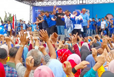 Sukseskan Pilkada Dengan Riang Gembira, Ribuan Warga Ikuti Senam Gembira HUT Demokrat