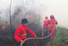 6 Daerah Zona Merah Karhutla di Sumsel, Total Sementara 3.360 Hotspot, Luas Lahan Terbakar1.416,94 Ha