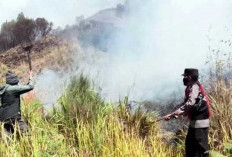 Api Mengancam Gunung Batok: Begini Tindakan Cepat dari Tim Gabungan TNBTS!