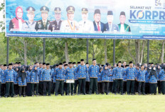 Langgar Disiplin Berat, Empat ASN Dipecat