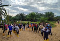 Daripada Terbengkalai, Kebun Sawit di Lahan Perkantoran Baru Disiapkan Jadi Sumber PAD Kabupaten Lahat