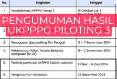 Pengumuman Hasil UKPPPG Berubah Jadi Tanggal 23 Desember, Ini Ciri Video yang Lulus UKin