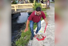 Kedapatan Menyuruh Anak Buang Sampah dari Atas Jembatan Ampera ke Sungai Musi Dikenakan Sanksi Kerja Sosial