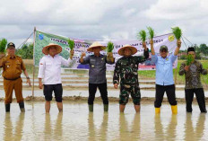 200 Hektar Lahan Jadi Cetak Sawah 