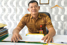 Lakukan Pelanggaran Berat, 1 ASN Dipecat