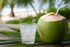 Air Kelapa Bukan Sekadar Pelepas Dahaga, Ini Segudang Manfaatnya