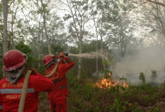 Lahan Gambut Terbakar di Desa Tanjung Sari 2, Manggala Agni Masih Berjibaku Memadamkan Api, Begini Situasinya!