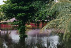 ALAMAK! 70 Lebih Sekolah Diliburkan, Penyakit Didominasi Batuk Pilek Akibat Banjir di Sekayu