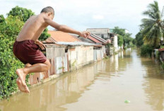 Mengenal 9 Anak Sungai Musi, Sumber Kehidupan di Sumatera Selatan, Dari Sungai Komering hingga Batanghari Leko