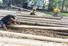 Festival Panjat Pinang 80 Batang Siap Gegerkan Palembang 22-24 Agustus di Venue Voli Pantai JSC Palembang