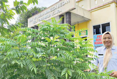 Sediakan Bumbu Masak  ‘Tinggal Petik’, Di Halaman Kantor Lurah Mangga Besar 