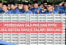 Perbedaan Gaji PNS dan PPPK Jika Sistem Single Salary (Gaji Tunggal) ASN Berlaku
