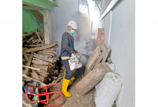 Cegah DBD, Puskesmas Fogging Sejumlah Desa Rawan