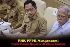 PHK PPPK Mengancam! Aturan Baru Bikin Resah, Nasib Tenaga Honorer di Ujung Tanduk