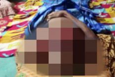 Tubuh Tercabik, Kepala-Badan Terpisah