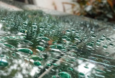 Prakiraan Cuaca Sumsel Senin 4 Agustus 2025: Hujan Merata, Waspadai Petir di Beberapa Wilayah