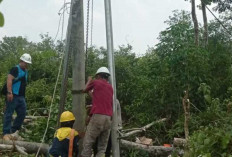 Tujuh Tiang Listrik Patah di Atas Bukit, Empat Tim PLN Berjibaku Perbaiki Jaringan Listrik