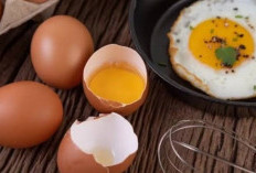 Anti Ribet, Ini Resep Aneka Olahan Telur untuk Bekal Anak Sekolah  