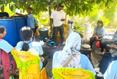 Dorong Kemandirian Kelompok Wanita Tani, PLN Gelar Pelatihan Teknologi Smart Farming  