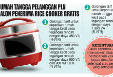 Penerima Rice cooker Gratis Diusulkan Kades-Lurah, Khusus untuk 3 Golongan Pelanggan PLN
