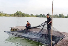 Kedalaman Danau JSC Palembang 3-4,5 Meter, Tembus 1.000 Peserta Lomba Mancing Sumeks 2025