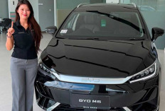 BYD M6, Kabin Luas  Kapasitas 7 Penumpang