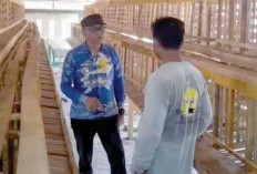 Tiga Desa di Pampangan Kembangkan Ternak Ayam Petelur Dukung Program Ketahanan Pangan OKI