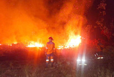 Komitmen Bukan Seremoni tapi Aksi Nyata, Tahun Ini Fokus 7 Daerah Rawan Karhutla di Sumsel