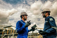 5 Kampus Ini Cetak Lulusan Paling Laris di BUMN, Tahun 2025 Jadi Puncaknya!