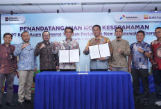 Jajaki Pengembangan PLTS di Lahan Pascatambang
