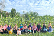 Kebun Melon Jadi Destinasi Wisata Baru, Berdampingan dengan Lahan Semangka dan Kacang Tanah