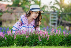 Dengan Penataan Apik, Berikut Tujuh Jenis Tanaman Hias Ini Bikin Ruang Tamu Lebih Cantik dan Tamu Makin Betah