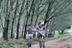 PTPN I Meriahkan HUT ke-80 RI dengan Lomba, Baksos, dan Beasiswa