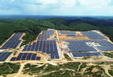 PLTS Tahap 1 Kapasitas 10 MW Sukses Dioperasikan, PLN Tunjukkan IKN Dilayani Energi Bersih
