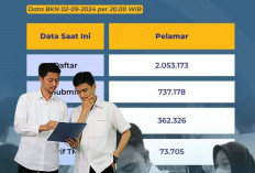 H-2 Penutupan Pendaftaran, Inilah Daftar Lengkap Instansi Favorit dan Sepi Peminat CPNS 2024