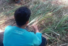  Bisa Bantu Keperluan Anak Sekolah, Jual Bumbu Serai     