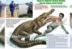 Terjun ke Sungai Habitat Buaya Muara, Langsung Kena Sambar, Tiga Teman Selamat saat Hendak Perbaiki Jukung