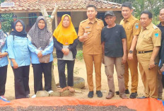 Panen Perdana Kopi di Ogan Ilir, Bupati Panca Dukung Perluasan Perkebunan Rakyat
