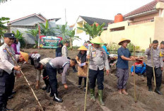 Jajaran Polsek Prabumulih Timur ‘Sulap’ Lahan Penampung Rongsokan Jadi Kebun Jagung