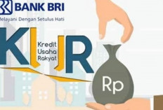 BRI Permudah Nasabah Kembangkan Usaha dengan KUR, Bunga Rendah dan Pencairan Cepat di Kayuagung