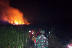 Karhutla Siang Hingga Malam di Ogan Ilir, Hanguskan Sekitar 20 Hektar Lahan