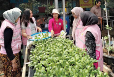  Tularkan Semangat Kartini, PLN Perkuat Kontribusi Perempuan lewat Srikandi Movement