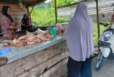 Lebaran Telah Berlalu, Tapi Harga Ayam Masih Tinggi di Kabupaten Empat Lawang