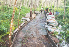 Bangun Jalan Cor Beton hingga Sumur Bor