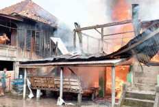  Rumah Panggung di Belimbing Ludes Terbakar, Ini Penyebabnya 