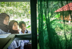 Hadirkan Pusat Edukasi Perikanan Terintegrasi, Bangkitkan Semangat Budidaya Ikan Lokal