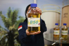 Serentak 1 Juli, Semua Sektor Pakai B50, Hasil Uji Coba Lebih Bagus dari B40