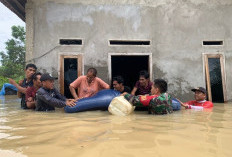 Anak Sungai Lalan Meluap, Puluhan Rumah di Bayung Lencir Terendam Banjir